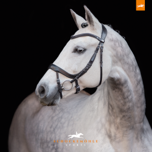 Schockemohle_EquitusAlpha_blacksilver1