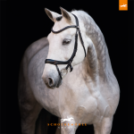 Schockemohle_EquitusAlpha_blacksilver2