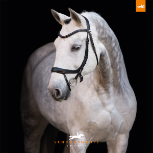 Schockemohle_EquitusAlpha_blacksilver2