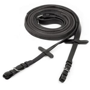 Reins