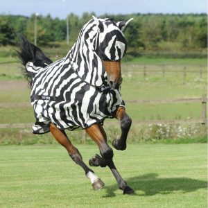 Bucas Buzz-Off Zebra and mask 16145