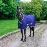 Bucas Freedom Twill Navy 5460