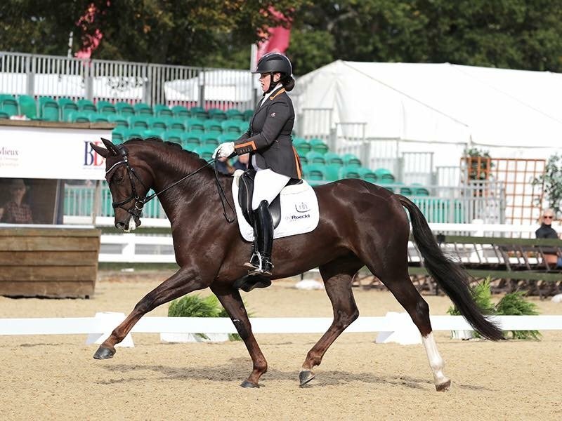 Alice-Oppenheimer-dressage-Schockemohle