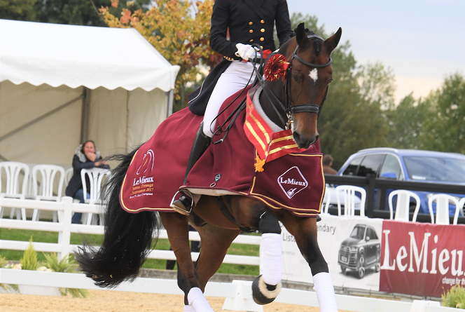 Lara Butler Grand Prix Lemieux National Dressage Champs Hudson Equine