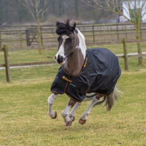 Bucas Irish Turn out Pony