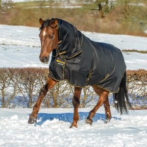 Bucas Irish Turnout & Combi Neck Black-Gold 2370