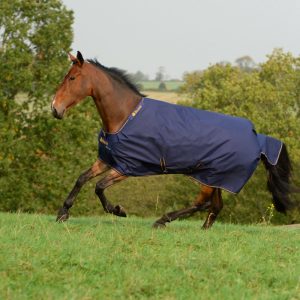 Bucas Irish Turnout Navy 5525