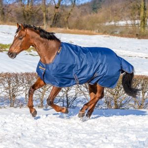 Bucas Irish Turnout Navy-Gold 2647