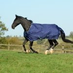 Bucas Smartex Blue 6738