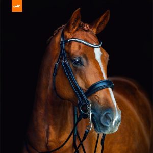 Bridle's