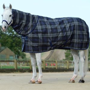 Stable Rugs