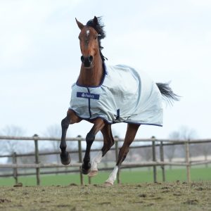 Turnout Rugs