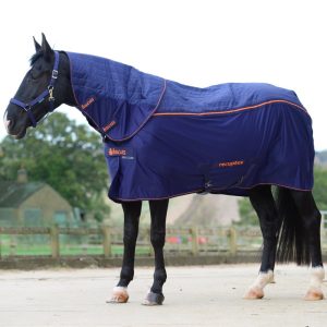 Therapy Rugs