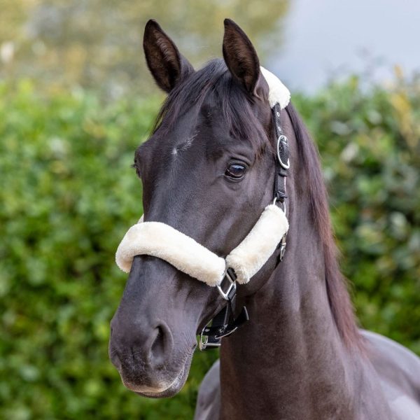 LeMieux-Comfort-Headcollar-Black-Natural