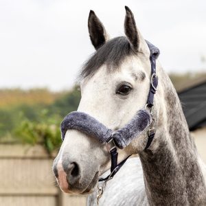 LeMieux-Comfort-Headcollar-Navy-Grey-Horse