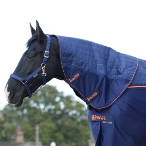 Bucas Recuptex Therapy Rug & Combi Neck Navy Orange 8299