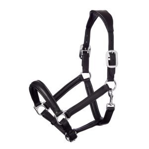 LeMieux-Anatomical-Leather-Headcollar-Black