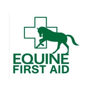 First Aid