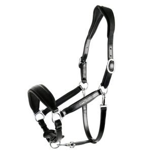 Schockemohle_Fremont_black