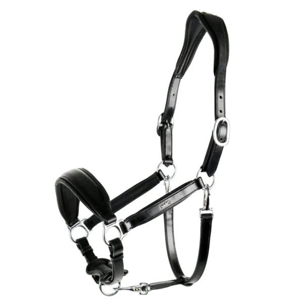 Schockemohle_Fremont_black