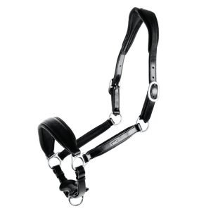 Schockemohle_Fremont_black_Grooming