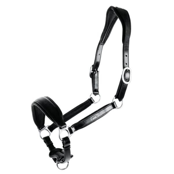 Schockemohle_Fremont_black_Grooming