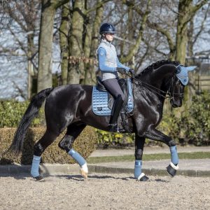 Dressage