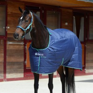 Bucas Quilt 3661