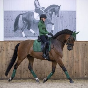 LeMieux-Polo-Bandages-Hunter-Green-Pony-Full-Large-Lifestyle-Image