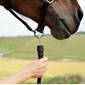 GoLeyGo-Headcollar-Black-Fuchsia