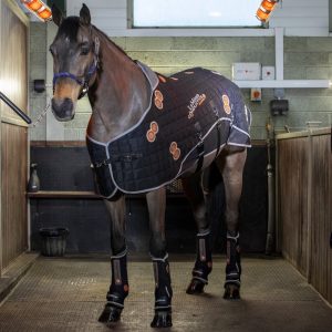 LeMieux-Conductive-Magno-Therapy-Rug-1