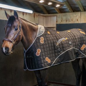 LeMieux-Conductive-Magno-Therapy-Rug -3