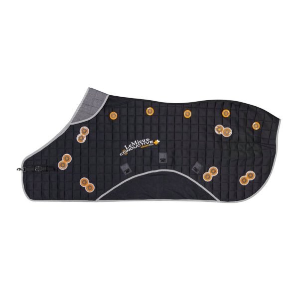 LeMieux-Conductive-Magno-Therapy-Rug