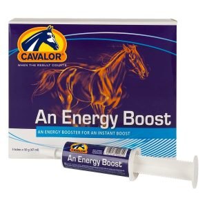 Condition, Performance & Energy