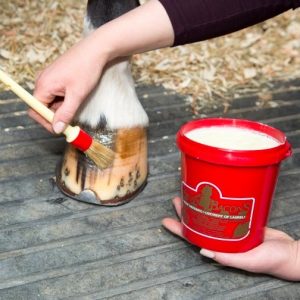 Hoof Care