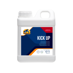 Cavalor-Kick-Up-1-Litre
