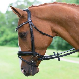Passier Bridles