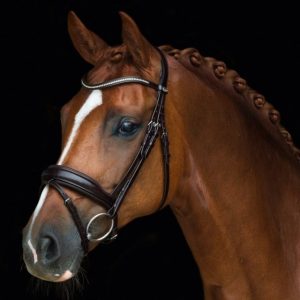 Schockemohle Bridles