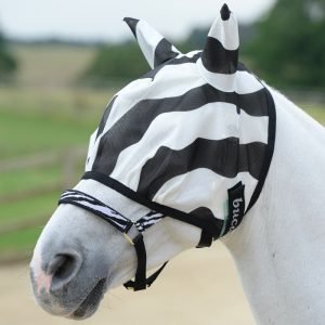 Fly Mask's