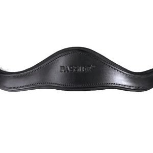 Passier-Atlas-Snaffle-Bridle-Headpiece