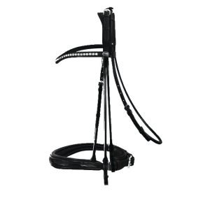 Passier-Icarus-Rolled-Double-Bridle-Black-Patent