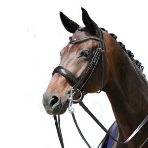 Passierblu-Dream-Double-Bridle-Lifestyle-Black-Havana
