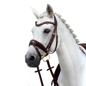 Passierblu-Spirit-Snaffle-Bridle-Lifestyle-Image-Black-Brown