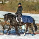 Bucas Quarter Sheet 661 3691