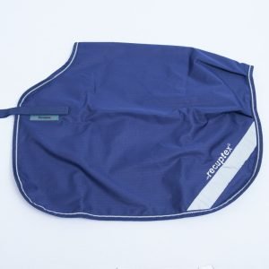 Bucas Therapy Quarter Sheet 419 299
