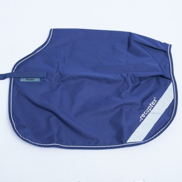 Bucas Therapy Quarter Sheet 419 299