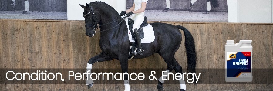 Condition, Performance & Energy