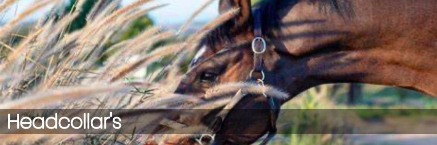 Headcollar's