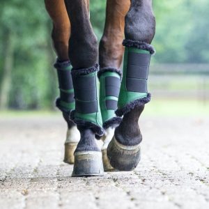 Dressage