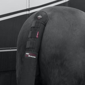 LeMieux-Tailguard-Black